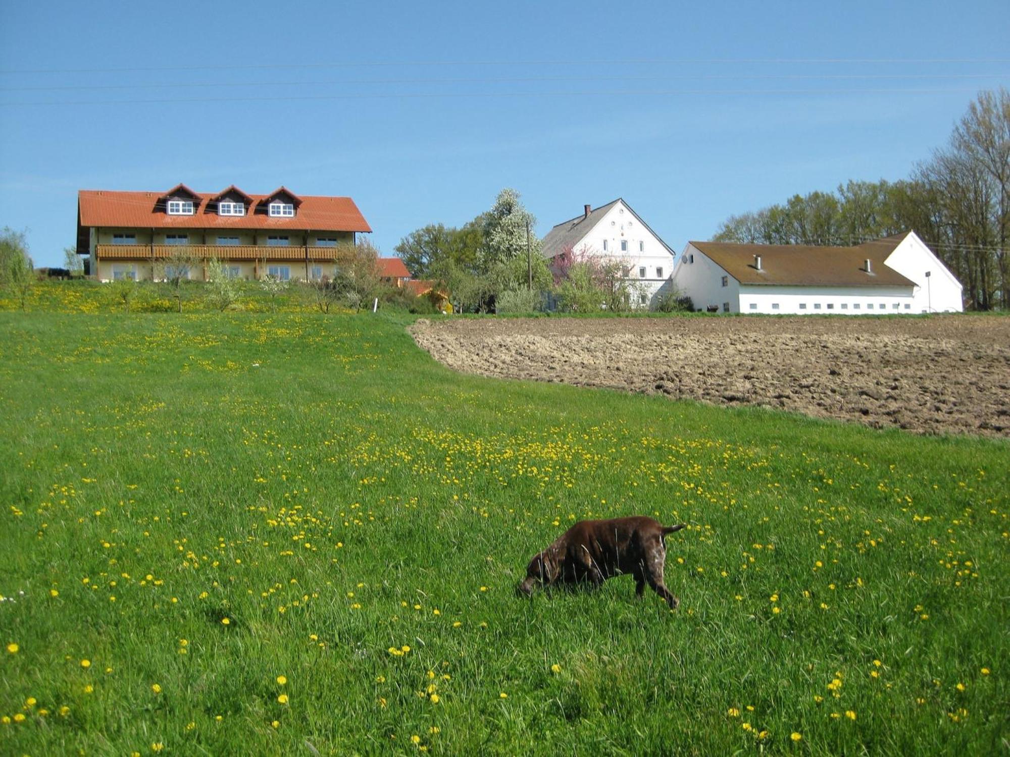 Comfortable Apartments In Rotthalm Nster Rotthalmünster Kültér fotó